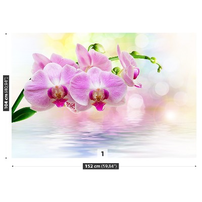 Wallpaper Orchid roses