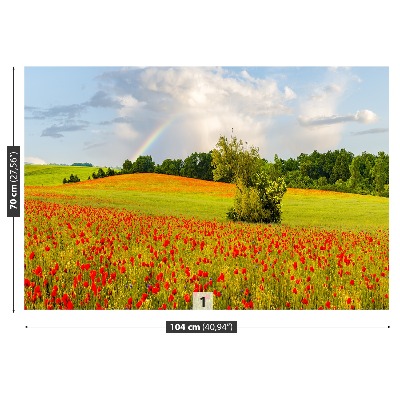 Wallpaper Rainbow of poppies