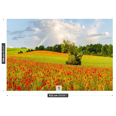 Wallpaper Rainbow of poppies