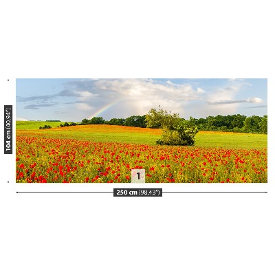 Wallpaper Rainbow of poppies