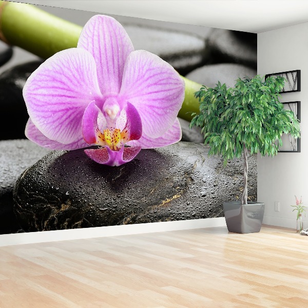 Wallpaper Orchid stones