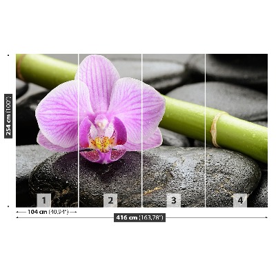 Wallpaper Orchid stones