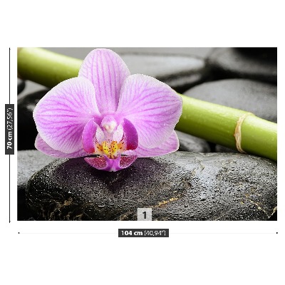 Wallpaper Orchid stones