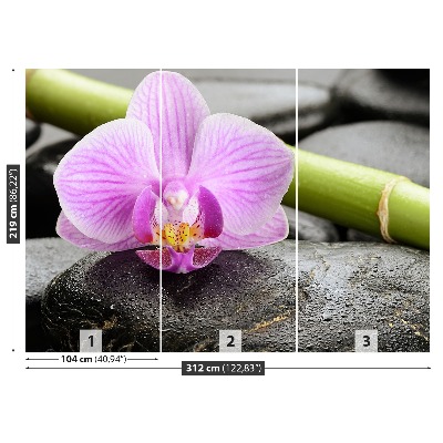 Wallpaper Orchid stones