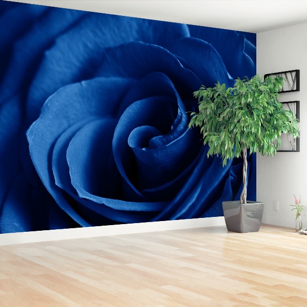 Wallpaper Blue rose