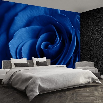 Wallpaper Blue rose