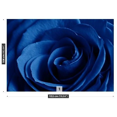 Wallpaper Blue rose