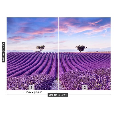 Wallpaper Lavender field