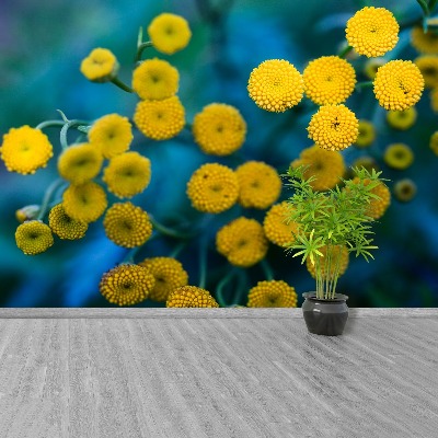 Wallpaper Yellow flowers