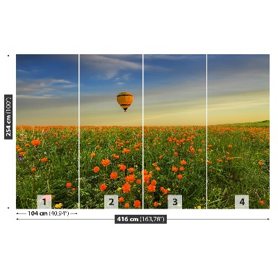 Wallpaper Meadow balloon