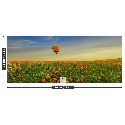 Wallpaper Meadow balloon