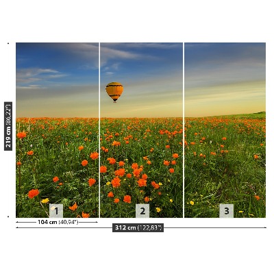 Wallpaper Meadow balloon