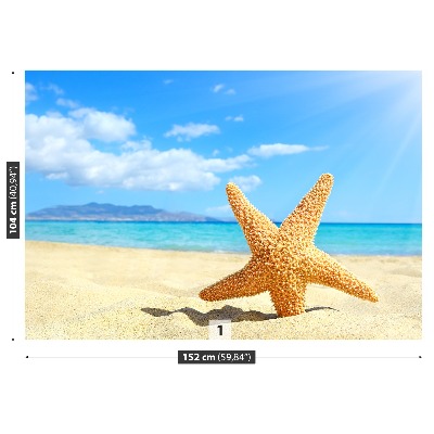 Wallpaper Starfish. Beach