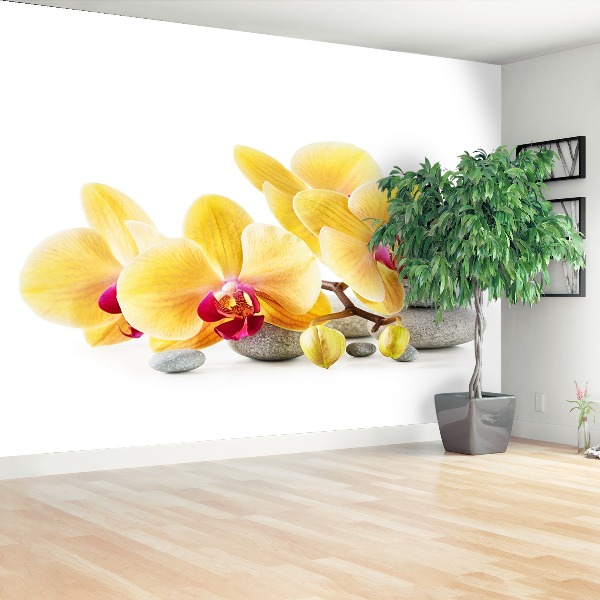 Wallpaper Yellow orchid