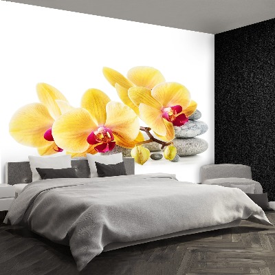 Wallpaper Yellow orchid