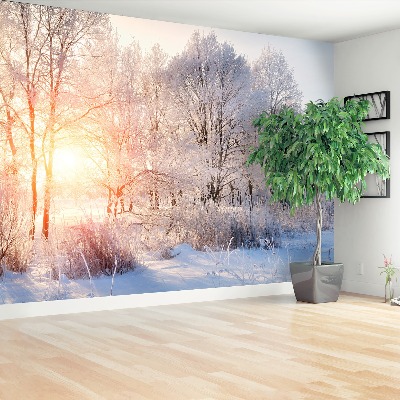 Wallpaper Winter trees