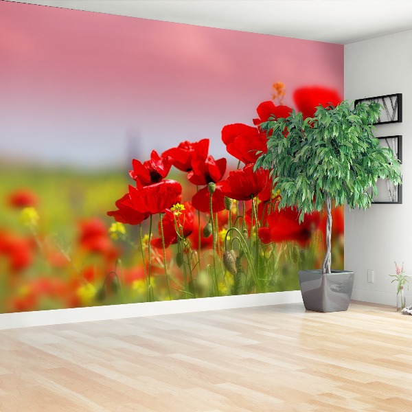 Wallpaper Poppies field