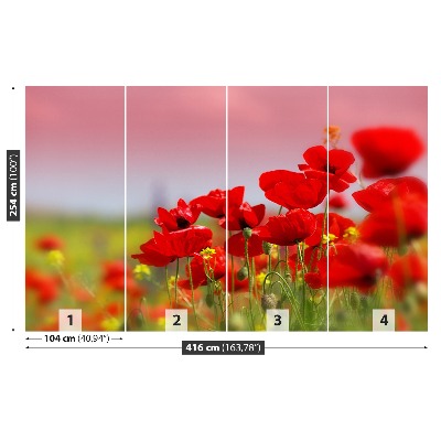 Wallpaper Poppies field