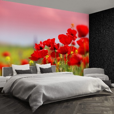 Wallpaper Poppies field