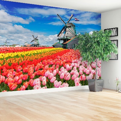 Wallpaper Netherlands windmills