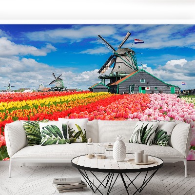 Wallpaper Netherlands windmills