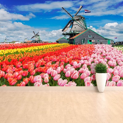 Wallpaper Netherlands windmills