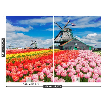 Wallpaper Netherlands windmills