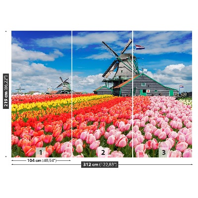 Wallpaper Netherlands windmills