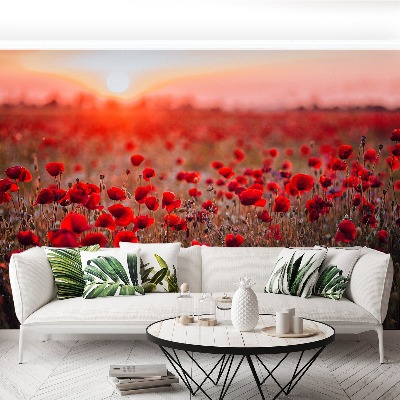 Wallpaper Field of poppies