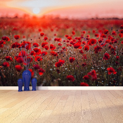 Wallpaper Field of poppies