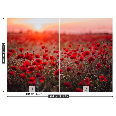 Wallpaper Field of poppies