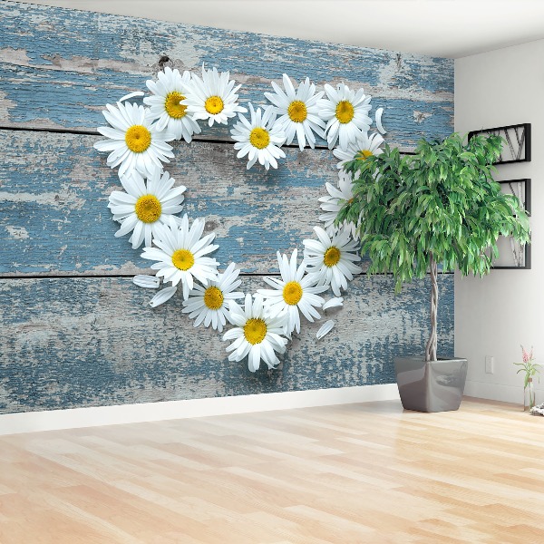 Wallpaper Chamomile. Heart