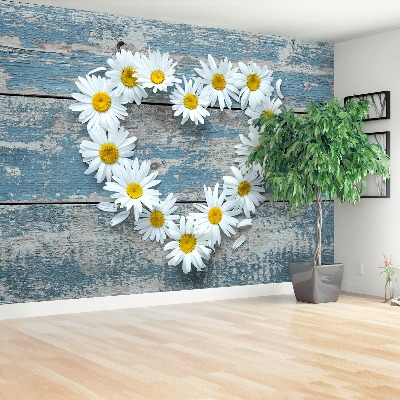 Wallpaper Chamomile. Heart