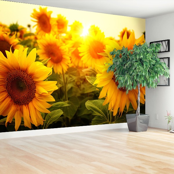 Wallpaper Sunflowers