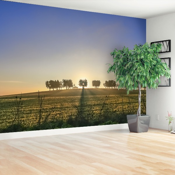 Wallpaper Olive grove