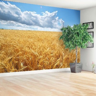 Wallpaper Wheat field