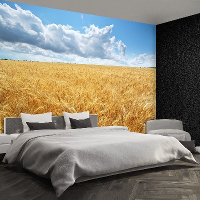 Wallpaper Wheat field