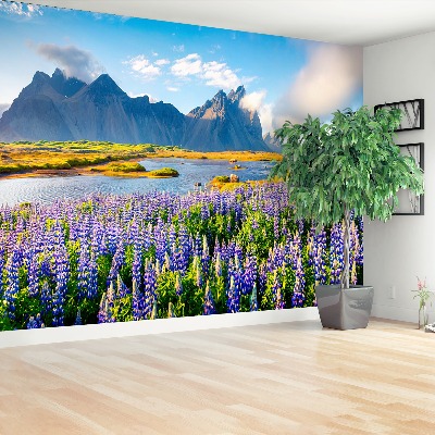 Wallpaper Lupine flowers