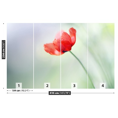 Wallpaper Red poppy