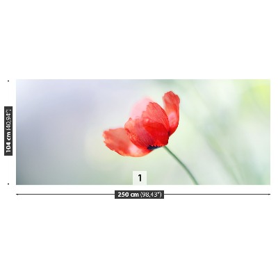 Wallpaper Red poppy