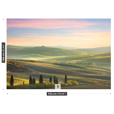 Wallpaper Tuscany cypresses