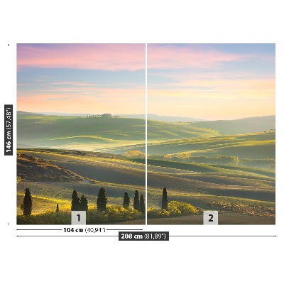 Wallpaper Tuscany cypresses