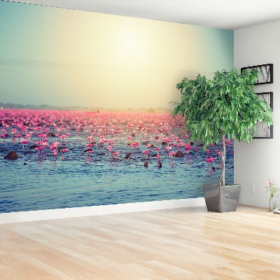 Wallpaper Water lilies pond