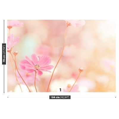 Wallpaper Pink cosmos flowers