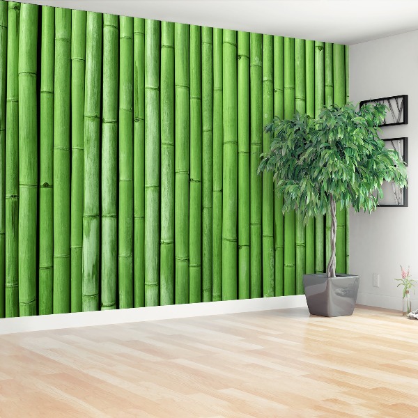 Wallpaper Bamboo green