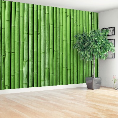 Wallpaper Bamboo green
