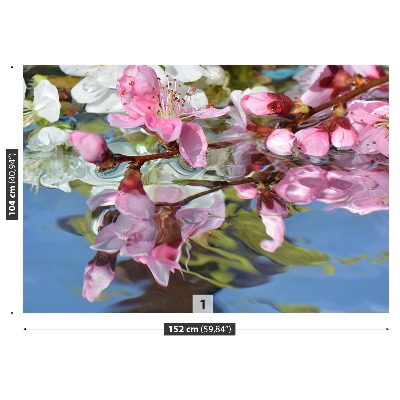 Wallpaper Cherry blossom water