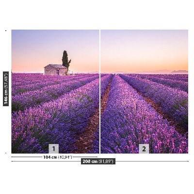 Wallpaper Provence lavender