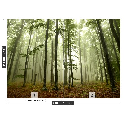 Wallpaper Misty forest