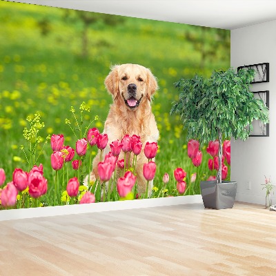 Wallpaper Dog tulips